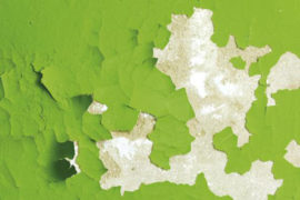 Schimmelpilzvermeidung